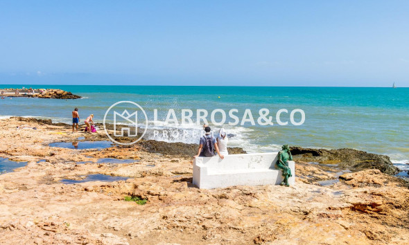 Вторичный рынок - Квартира - Торревьеха - Playa del cura