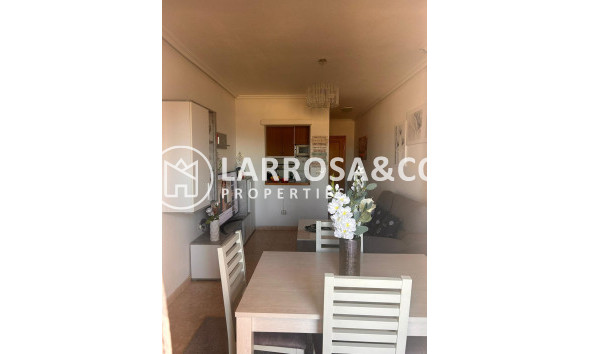 Reventa - Apartamento - Torrevieja - Centro