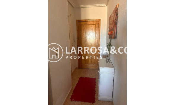 Reventa - Apartamento - Torrevieja - Centro