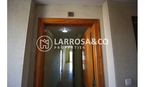 A Vendre - Apartment - Guardamar del Segura - Puerto