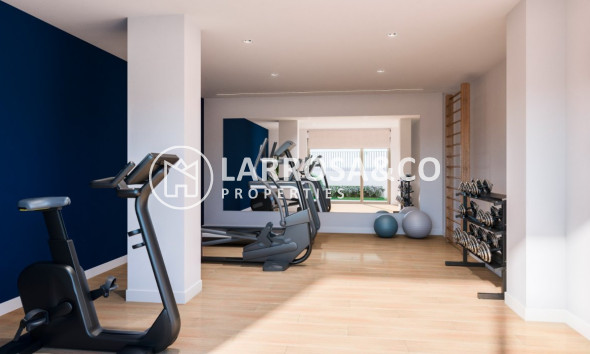 Nieuwbouw Woningen - Penthouse  - San Juan Alicante - Fran Espinos