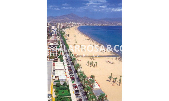 Nieuwbouw Woningen - Penthouse  - San Juan Alicante - Fran Espinos