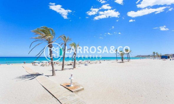 Nieuwbouw Woningen - Penthouse  - San Juan Alicante - Fran Espinos