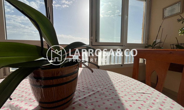 Reventa - Apartamento - Torrevieja - Playa del cura