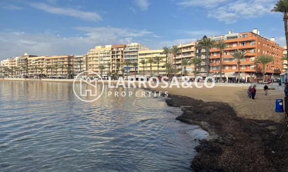 Reventa - Apartamento - Torrevieja - Playa del cura