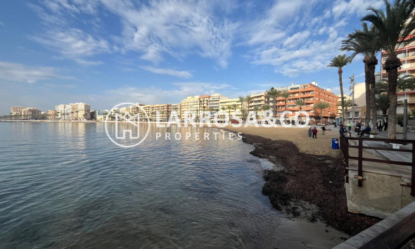 Reventa - Apartamento - Torrevieja - Playa del cura