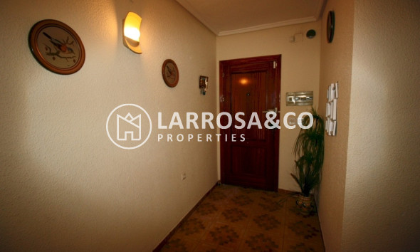 Resale - Apartment - Guardamar del Segura - Playa centro