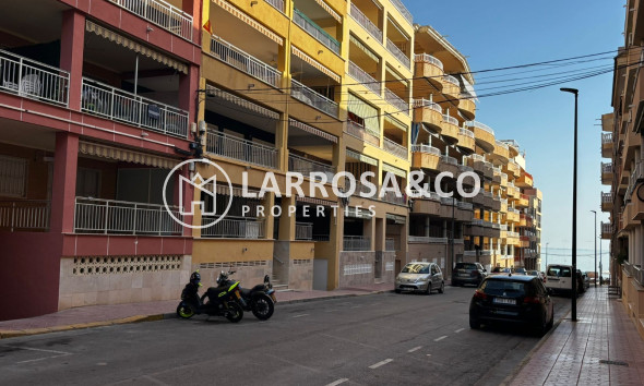 Resale - Apartment - Guardamar del Segura - Playa centro