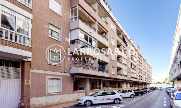 Reventa - Apartamento - Torrevieja - Puerto