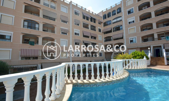 Reventa - Apartamento - Guardamar del Segura