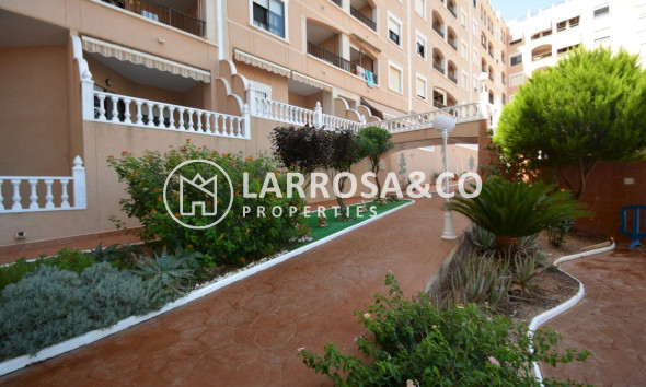 Reventa - Apartamento - Guardamar del Segura