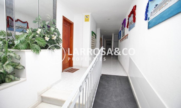 Resale - Apartment - Torrevieja - Playa del cura