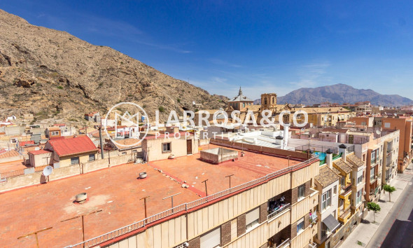 Reventa - Apartamento - Orihuela - Los Huertos