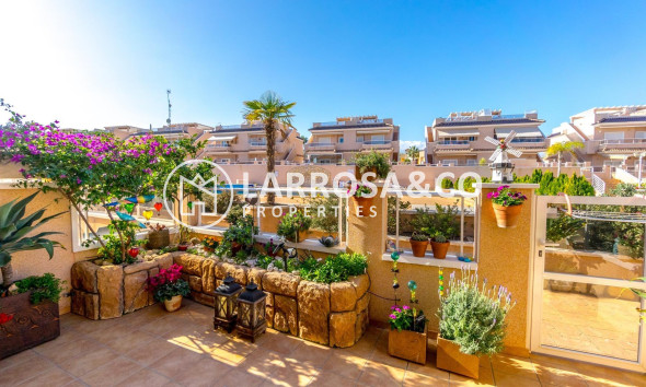 Reventa - Apartamento - Torrevieja - Los Balcones - Los Altos del Edén