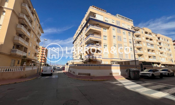 Reventa - Apartamento - Guardamar del Segura - Centro