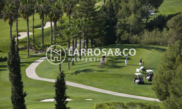 Obra Nueva - Atico - Orihuela costa - Lomas de Campoamor