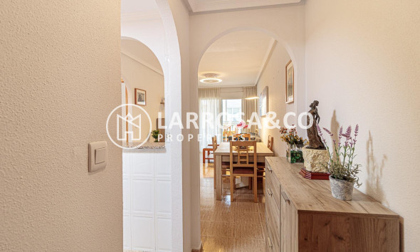 A Vendre - Apartment - Torrevieja - Centro