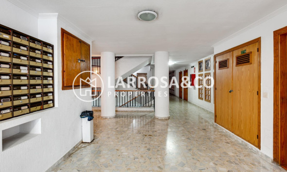 A Vendre - Apartment - Torrevieja - Habaneras