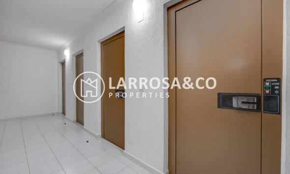 A Vendre - Apartment - Torrevieja - Habaneras