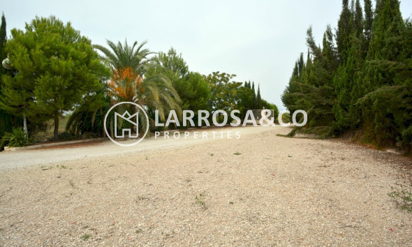 Reventa - Casa de campo - Almoradí