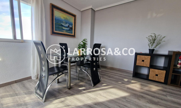 Reventa - Apartamento - Torrevieja - Nueva Torrevieja