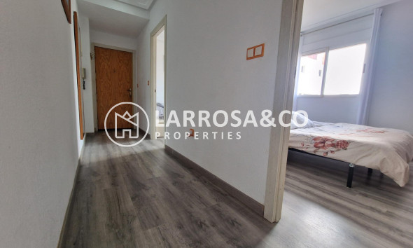 Reventa - Apartamento - Torrevieja - Nueva Torrevieja