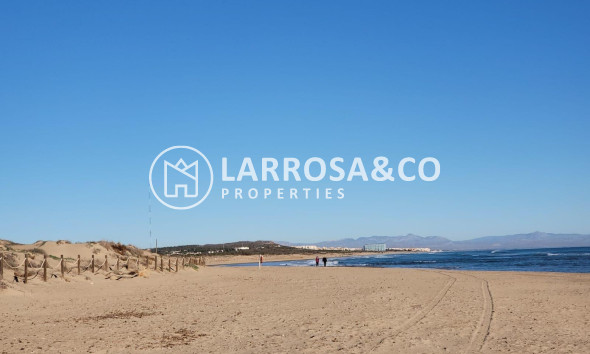 Nieuwbouw Woningen - Apartment - Torrevieja - La Mata