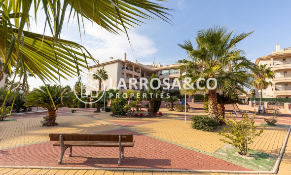 A Vendre - Penthouse  - Orihuela costa - Playa Flamenca