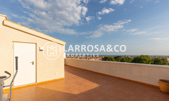 A Vendre - Penthouse  - Orihuela costa - Playa Flamenca