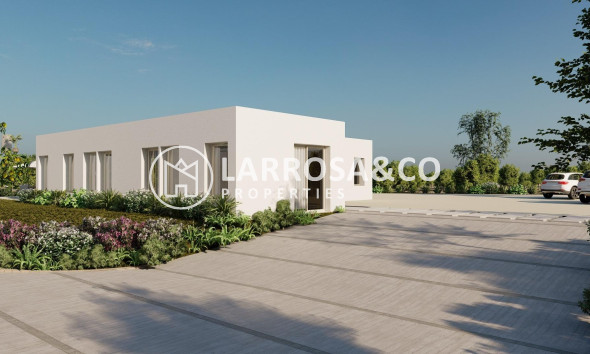 New build - Detached House/Villa - Algorfa - Lomas De La Juliana