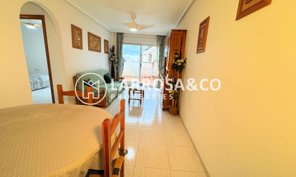 Reventa - Apartamento - Torrevieja - Centro