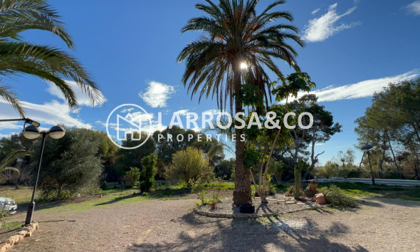 A Vendre - Villa - Orihuela costa - Campoamor