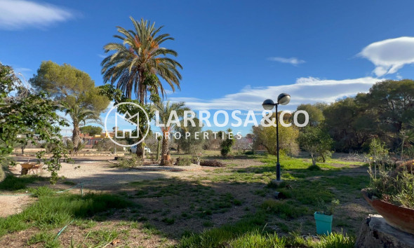 A Vendre - Villa - Orihuela costa - Campoamor