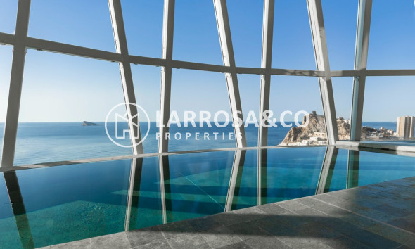 Obra Nueva - Apartamento - Benidorm - Playa Poniente