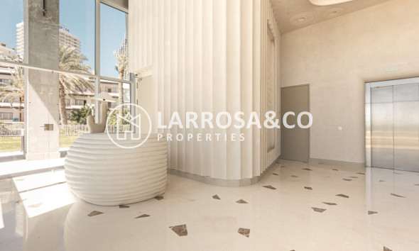 Obra Nueva - Apartamento - Benidorm - Playa Poniente