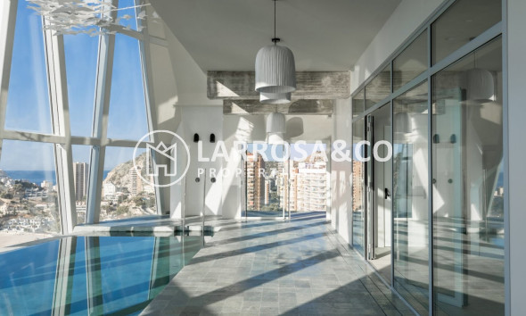 Obra Nueva - Apartamento - Benidorm - Playa Poniente