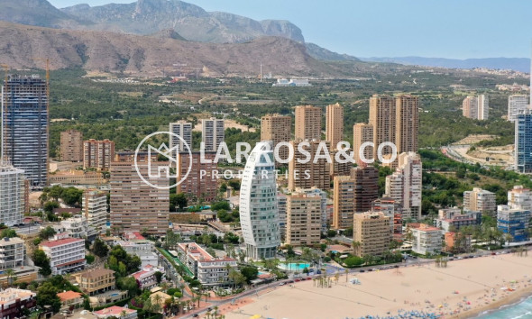 Obra Nueva - Apartamento - Benidorm - Playa Poniente