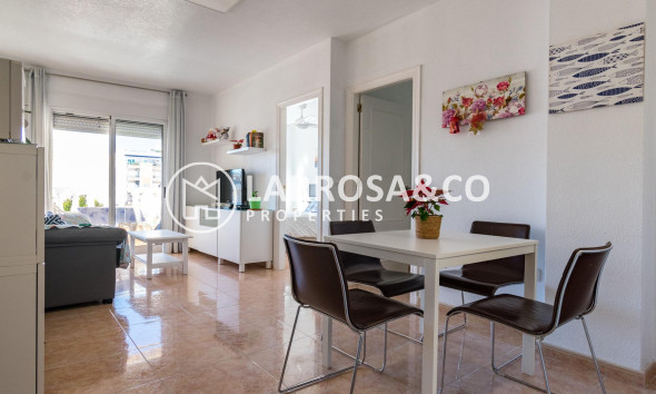 Herverkoop - Apartment - Torrevieja - torrevieja