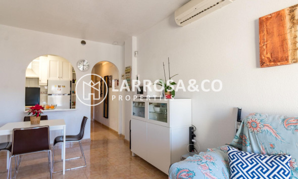 Herverkoop - Apartment - Torrevieja - torrevieja