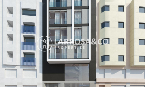 Obra Nueva - Edificio - Orihuela - Zona Centro