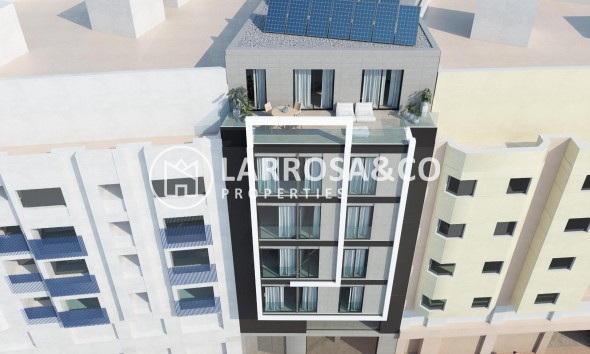 Obra Nueva - Edificio - Orihuela - Zona Centro