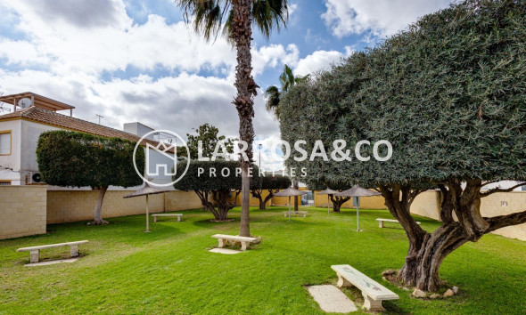 Reventa - Bungalow - Torrevieja - Doña ines