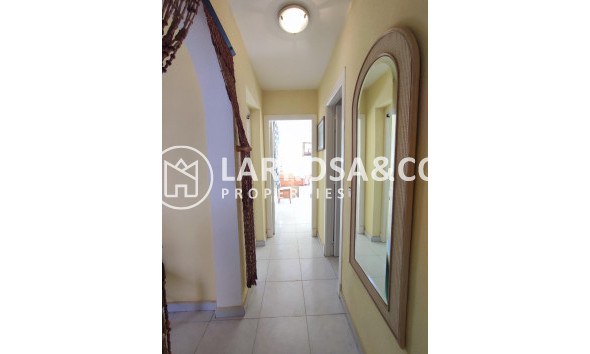 Reventa - Bungalow - Torrevieja - Doña ines