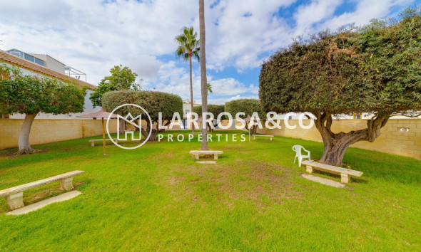 Reventa - Bungalow - Torrevieja - Doña ines