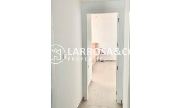 Obra Nueva - Apartamento - Pilar de la Horadada - pueblo