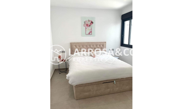 Obra Nueva - Apartamento - Pilar de la Horadada - pueblo