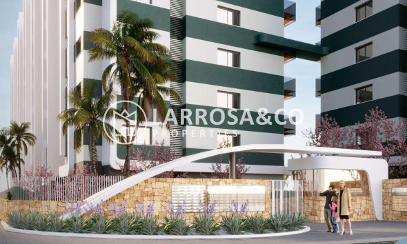 Obra Nueva - Apartamento - Torrevieja - Punta Prima