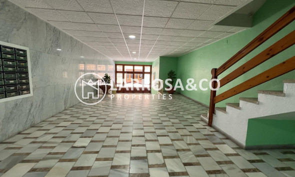 A Vendre - Apartment - Torrevieja - El Acequión - Los Náufragos