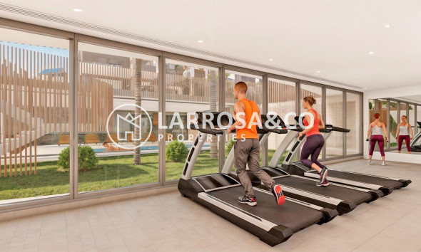 Obra Nueva - Apartamento - Pilar de la Horadada - Playa de las Higuericas