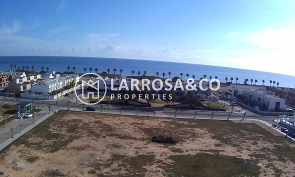 Obra Nueva - Apartamento - Pilar de la Horadada - Playa de las Higuericas